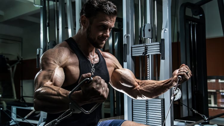 5 Bí kíp giúp bạn tăng cơ giảm mỡ dễ dàng
