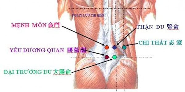 cac-huyet-o-lung-va-cach-tac-dong-giup-chua-benh-1