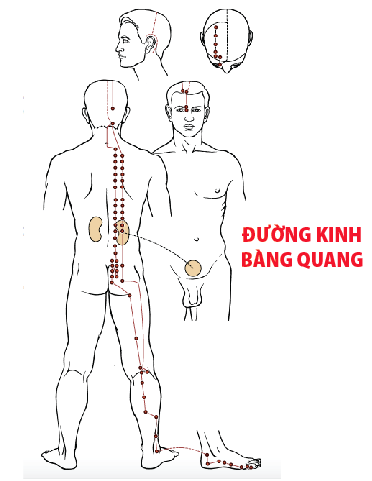 chua-dau-hong-ngua-hong-cam-cum-ma-khong-can-thuoc-3