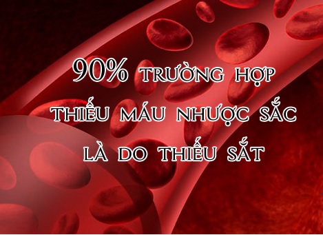 lam-the-nao-ban-co-the-toi-uu-hoa-luong-sat-trong-co-the-2