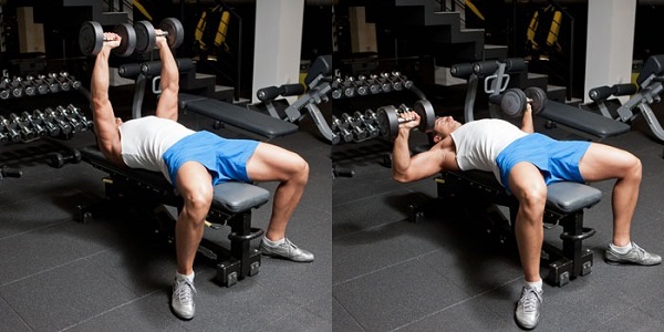 Tập ngực hiệu quả với bài tập Dumbbell Bench Press