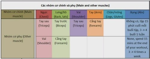 Hướng dẫn sắp xếp lịch tập thể hình hiệu quả