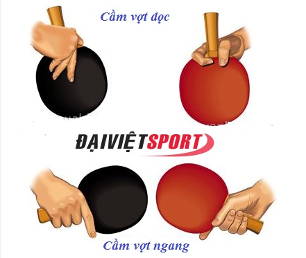 Những sai lầm thường gặp của người mới chơi bóng bàn