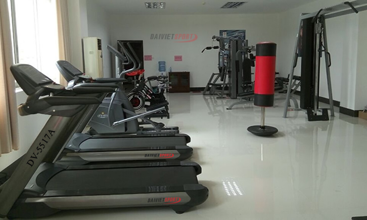 Các loại máy tập thể dục Đại Việt uy tín, chất lượng